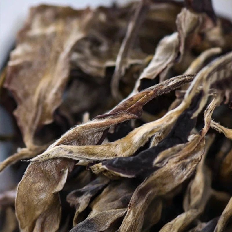 Yunnan Organic White Tea – Yueta Pagoda Tribute Garden 2024 "Moonlight Beauty" White Tea | Honey Aroma | Premium Loose Leaf