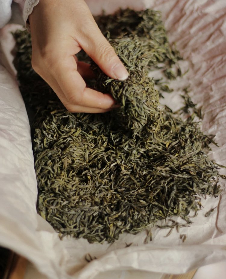 2026 Mengding Yellow Buds – Pre-Qingming Spring Yellow Tea, Fresh Tender Buds from High Mountain, 500g - Image 5