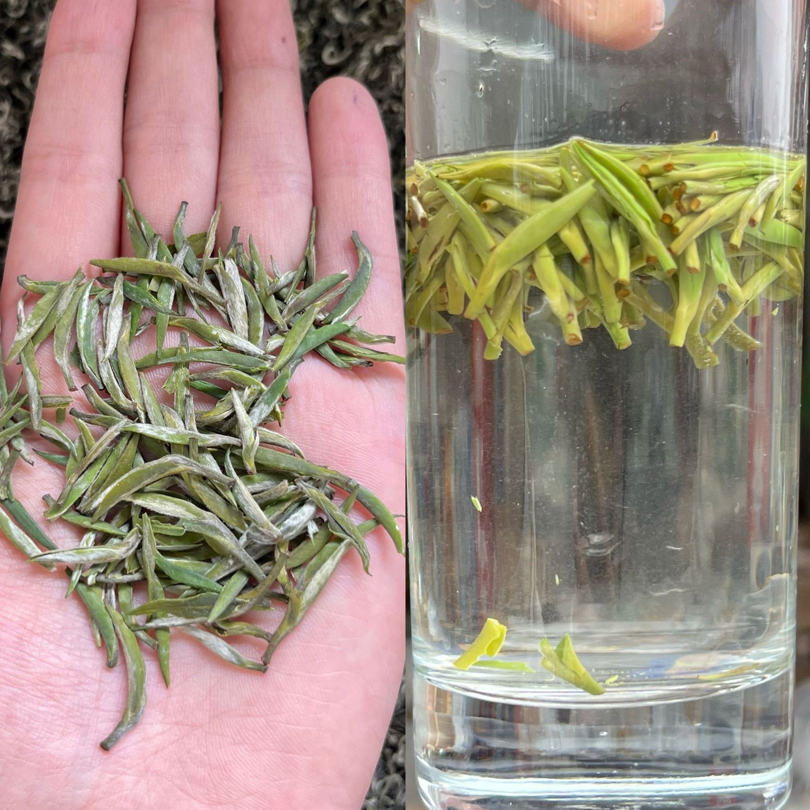 2026 Fresh Biluochun Green Tea – Pine Needle Single Bud, Premium Grade, 500g Loose Leaf - Image 2
