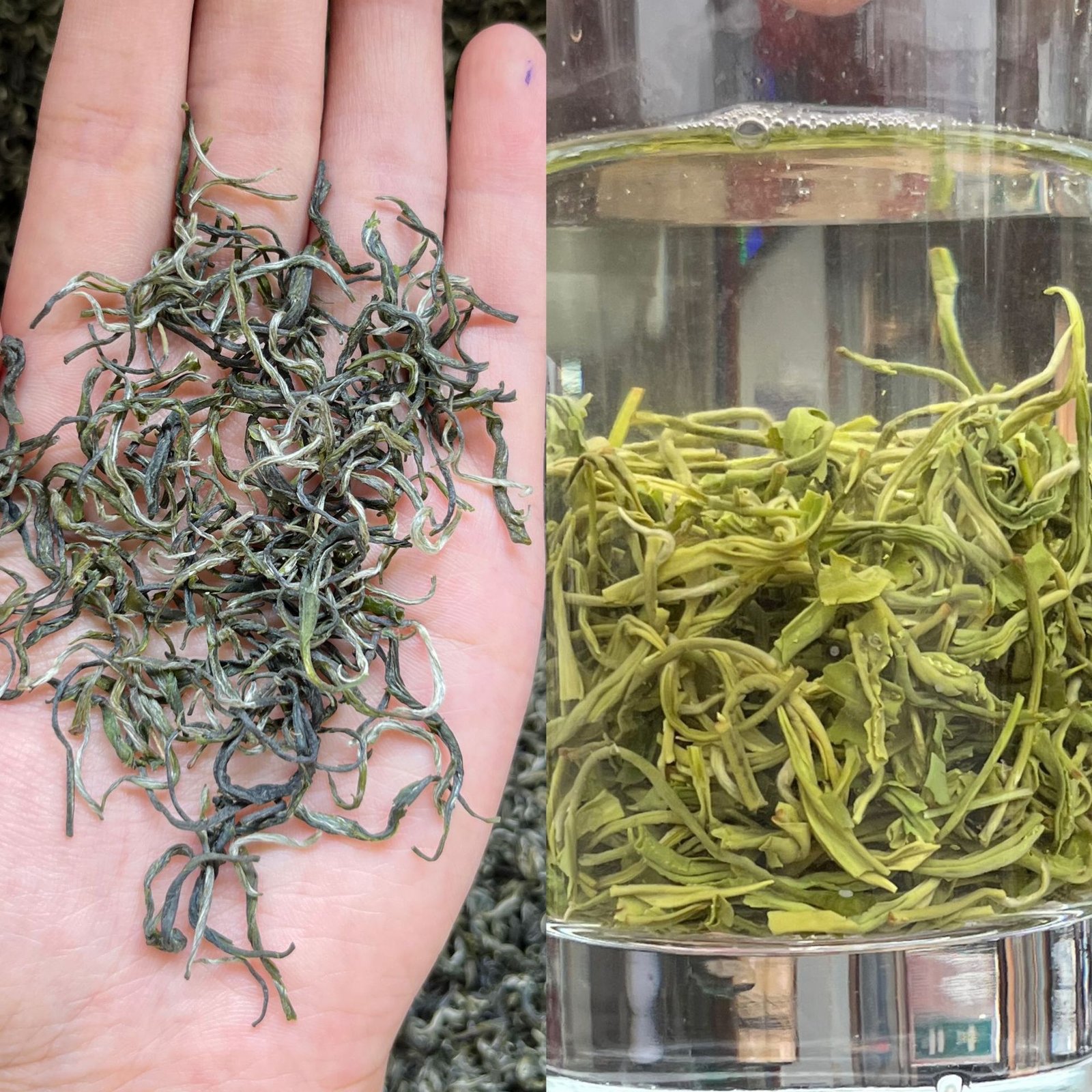 2026 Fresh Biluochun Green Tea – Pine Needle Single Bud, Premium Grade, 500g Loose Leaf - Image 4