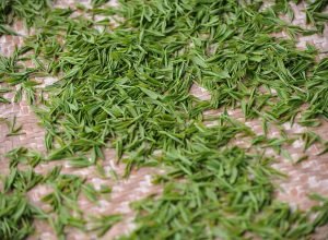 sxh41920-tea-garden-1557697